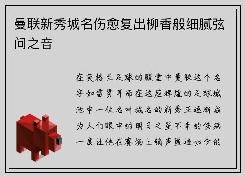 曼联新秀城名伤愈复出柳香般细腻弦间之音